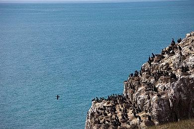 微软宣布Xbox Series X和主机版XGP将涨价